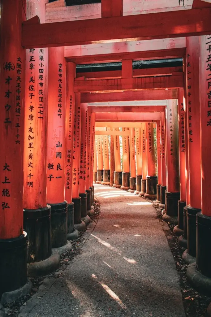 Japan eSIM