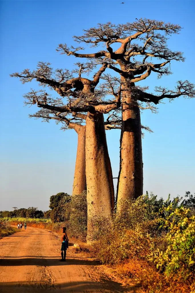 Madagaskar eSIM
