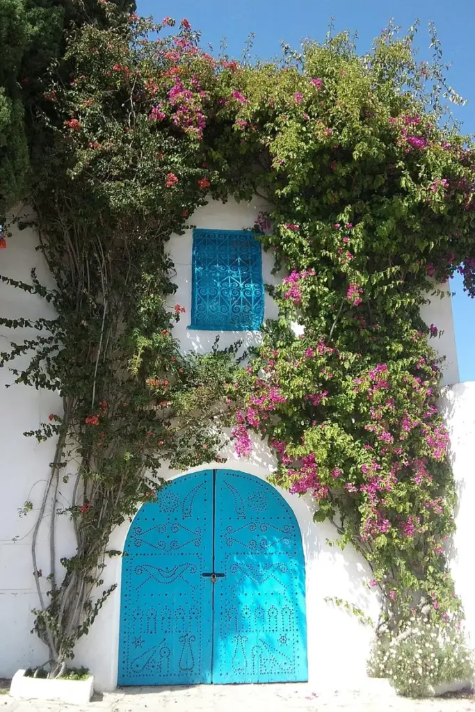 Tunisien eSIM
